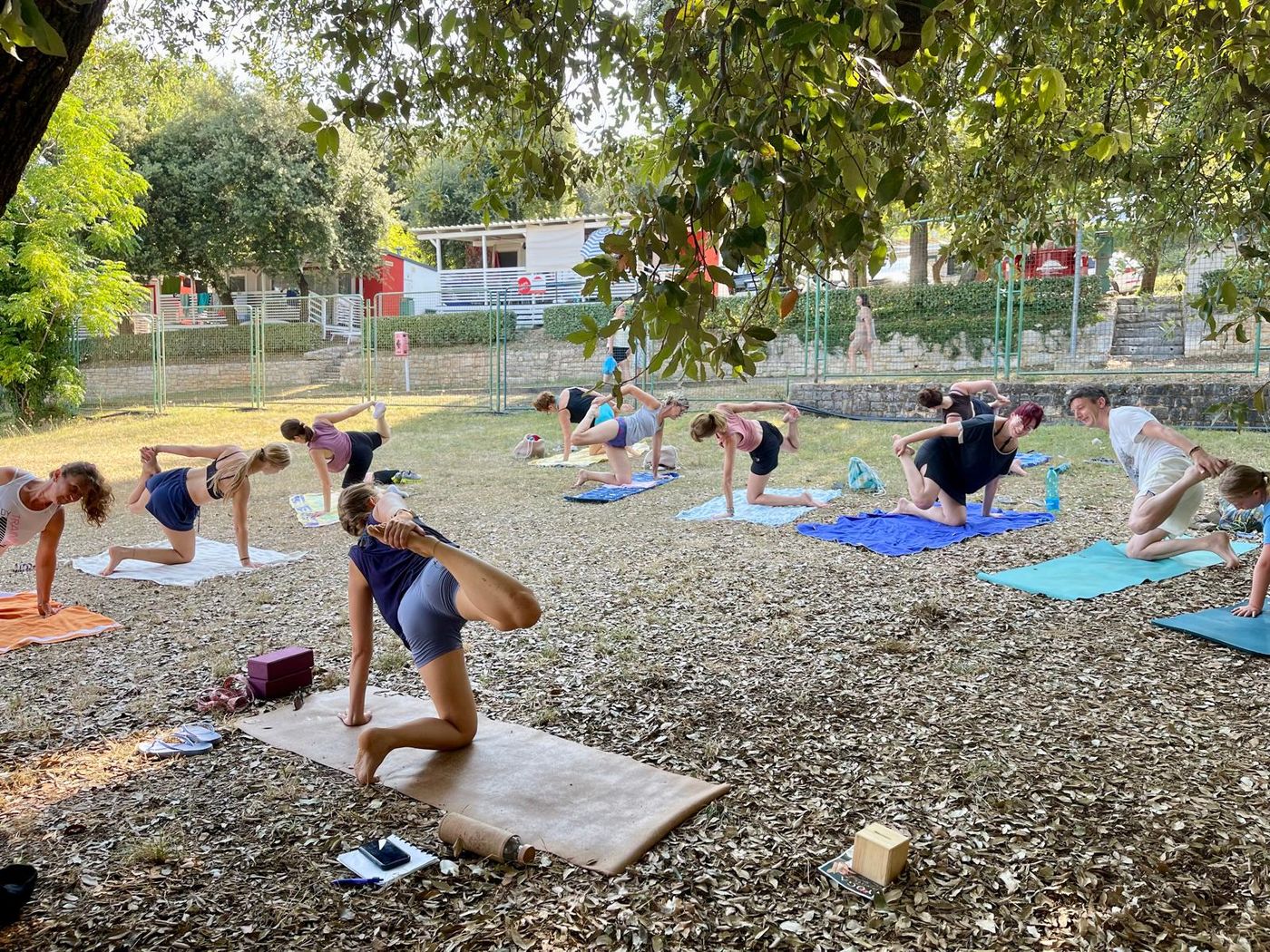 Summer yoga class in the shade of the trees in Vrsar