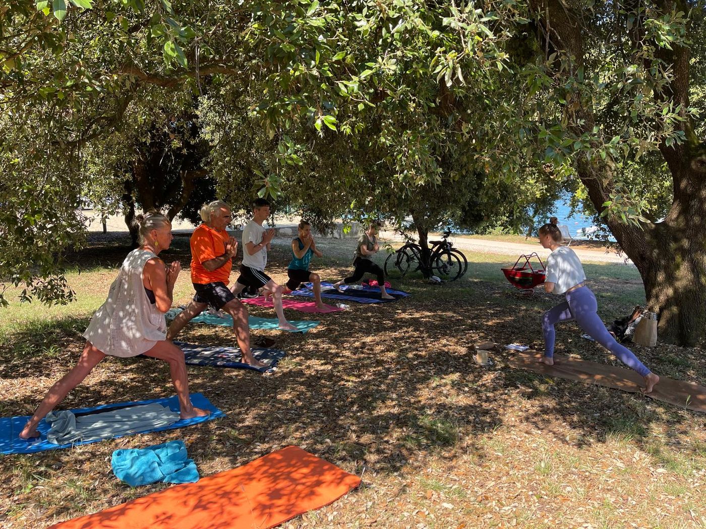 Summer yoga class facing the teacher under the trees